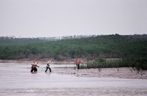 Chung tay bảo vệ, tái tạo và phát triển nguồn lợi thủy sản tại khu Ramsar Xuân Thuỷ (12/05/2023)